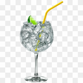 Transparent Gin Glass Png, Png Download