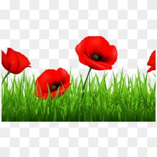 Free Poppy Cliparts, Download Free Clip Art, Free Clip, HD Png Download