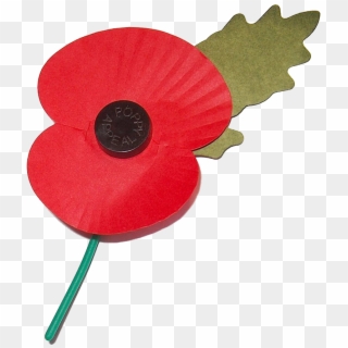 General Boles - Help For Heroes Poppy, HD Png Download