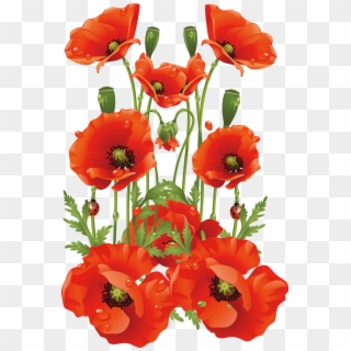 943 X 1424 2 - Transparent Background Poppies Png, Png Download