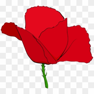 Png Freeuse Library Coquelicot Rouge Red Big Image - Poppy, Transparent Png