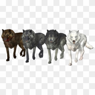 Wolf Pack Free Png Image - Wolf, Transparent Png