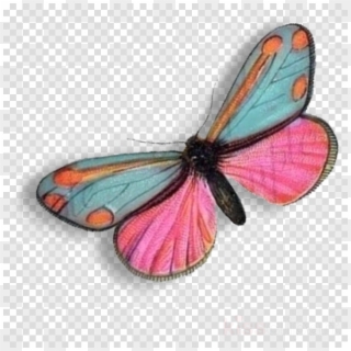 Download Monarch Butterfly Clipart Monarch Butterfly, HD Png Download