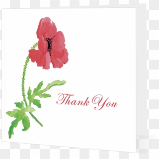 Poppy Thank You - Garden Roses, HD Png Download