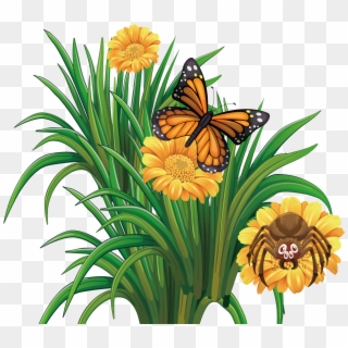 Monarch Butterfly Flower - Summer Flower Flowers With Butterflies Clipart, HD Png Download