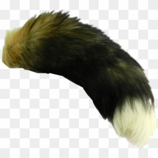 Fox Tails , Png Download, Transparent Png