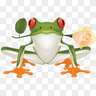 Image Transparent Stock Png Image Free Download Frogs - Red Eyed Frog Clipart Png, Png Download