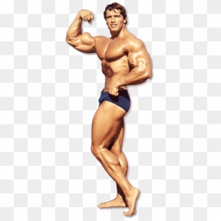 Bodybuilding Png File - Arnold Schwarzenegger Png, Transparent Png