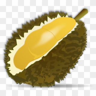 Durian, HD Png Download