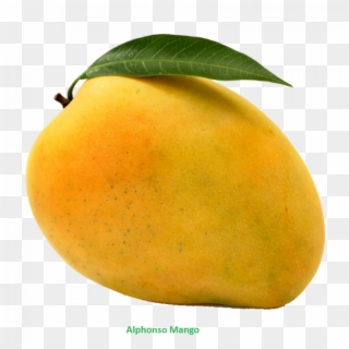 Mango Clipart Png Download Mango Free Png Photo Images - Mango Png, Transparent Png