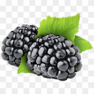 Blackberry Fruit Clipart Png - Blackberry Png, Transparent Png