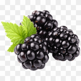 Blackberry Fruit Clipart - Blackberry Fruit, HD Png Download