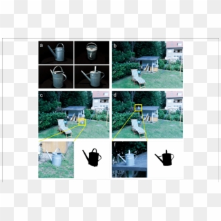 Examples Of Target Object In Scenes - Backyard, HD Png Download