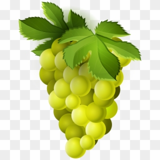 Grapes Clipart Common Fruit - Green Grapes Clipart Png, Transparent Png