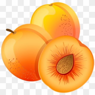 Large Painted Apricot Png Clipart - Apricot Clipart Png, Transparent Png