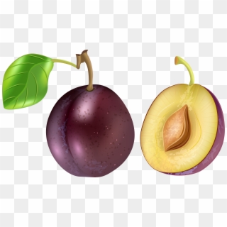 Clip Art Free Library Png Clip Art Image Gallery Yopriceville - Plum Transparent, Png Download
