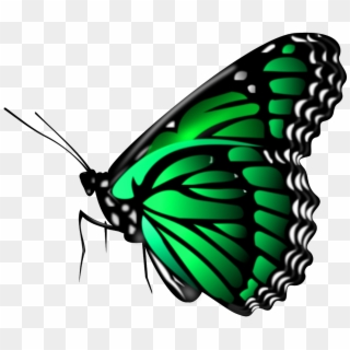 All New Editing Png Download, Picsart Png - Butterfly Png, Transparent Png