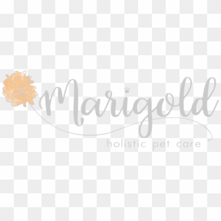 Marigold Gray Logo Png - Calligraphy, Transparent Png