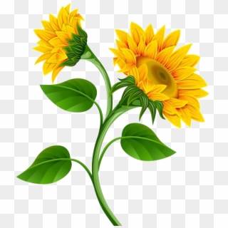 Garland Clipart Marigold - Transparent Background Sunflower Clipart, HD Png Download