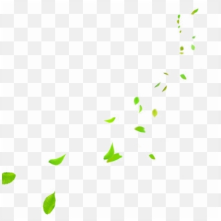 Falling Green Leaves Png Photo - Insect, Transparent Png
