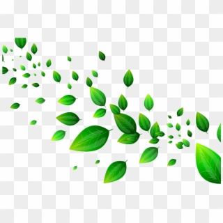 Green Leaves Png Clipart - Green Leaves Transparent Background, Png  Download - 1591x2624(#76261) - PngFind