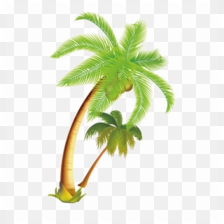 Coconut Tree Png Download Image - Palm Trees Vector Png, Transparent Png