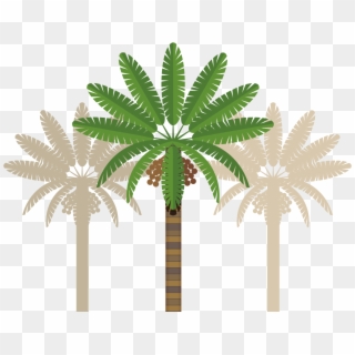 Leaves Clipart Coconut Tree - Dubai Transparent Clipart Free, HD Png Download