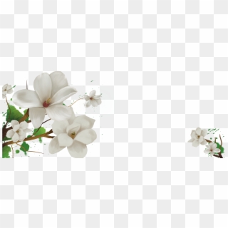 Kisspng Cape Jasmine Flower Floral Design Floral Background - Jasmine Flower Transparent Background, Png Download