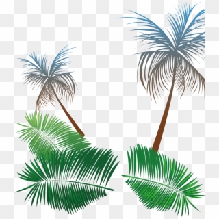 Svg Transparent Library Beach Coconut Tree Background - Roystonea, HD Png Download