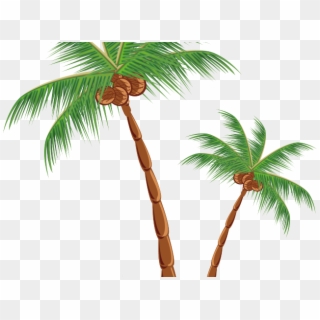 Leaves Clipart Coconut Tree - Cocanut Tree Png, Transparent Png