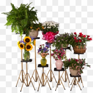 Basic Small Top Stand Value Bundle With Flower Arrangements - Stands For Flower Arrangements, HD Png Download