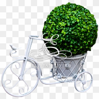 Tandeem Bicycle Flower Stand - Rickshaw, HD Png Download