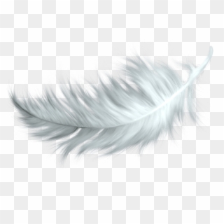 Feather Transparent Png - Bird Feather Png White, Png Download