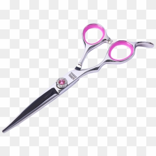 Professional Hairdressing Left Handed Hair Cutting - Scissors, HD Png Download