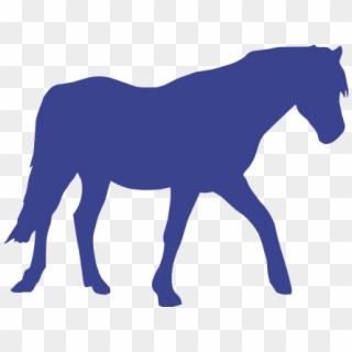 Horse, HD Png Download