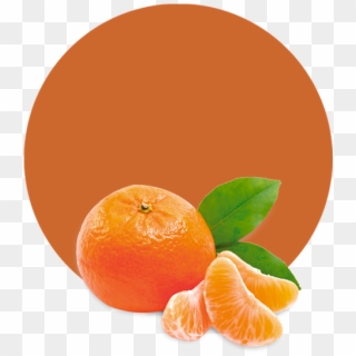 Com/wp Essential Oil - Fresh Orange, HD Png Download