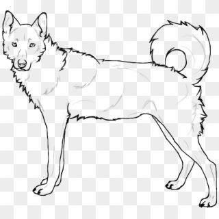 Coloring Pages Of Husky Dogs - Draw A Husky Tail, HD Png Download