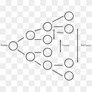 Founding Cell's Family Tree Indicating Siblings, Cousins - Family Tree For Second Cousins, HD Png Download