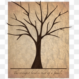 Family Tree - Tree For Scrapbook, HD Png Download
