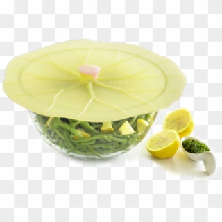 Lily Pad Lid, HD Png Download