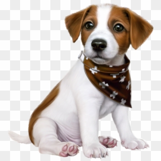 Cute Dogs - Jack Russell Puppy Png, Transparent Png