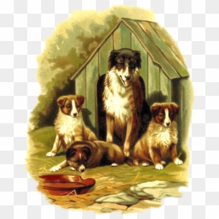 Medium Image - Dogs In A Kennel Clipart, HD Png Download