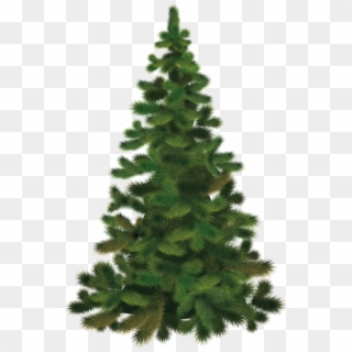 Christmas Tree Png, Transparent Png
