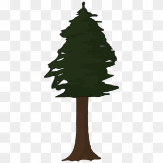 Clipart Redwood Tree - Redwood Tree Clipart, HD Png Download