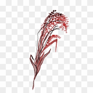 Black Red Flower Branch Transparent Decorative , Png, Png Download