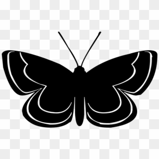Vector Butterfly Silhouette - Silhouette, HD Png Download