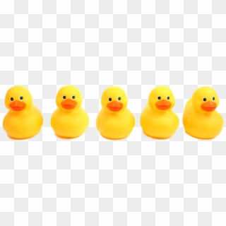 Png Ducks In A Row Pluspng - Ducks In A Row Png, Transparent Png
