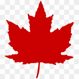 Canadian Maple Leaf Png, Transparent Png