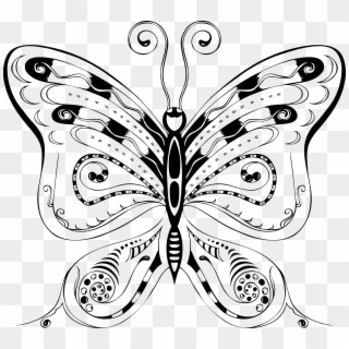 Clifford Yang Free, Resolution > Pix - Free Hand Drawing Designs Of Butterfly, HD Png Download