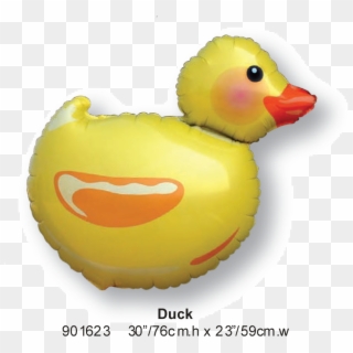 Duck, HD Png Download